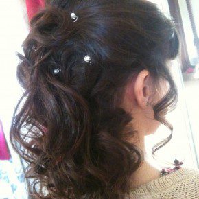 Wedding Hairstyles Jewels