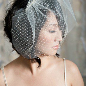 Wedding Hairstyles With Birdcage Veil