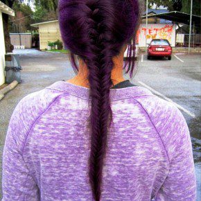 Back View Of French Fishtail Braid Purple Hair