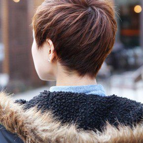 Back View Of Short Layered Boyish Cut