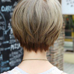 Back View Of Trendy Short Straight Hairstyle