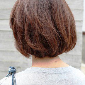 Back View Short Brown Bob Hairstyle