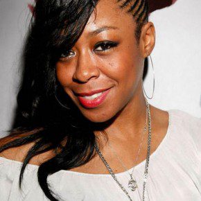 Black Women Braided Hairstyles 2013