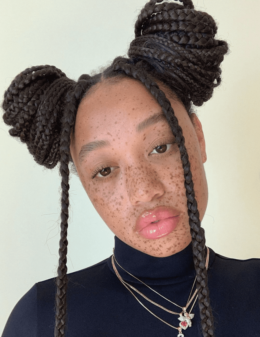 Box Braids Into Space Buns