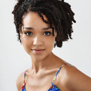 Braided Hairstyles African American Women