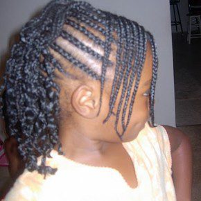 Braided Hairstyles For African Americans Little Girls