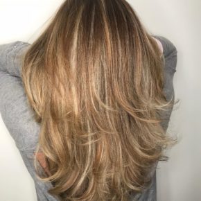 Brown Blonde Hair with Long Layers