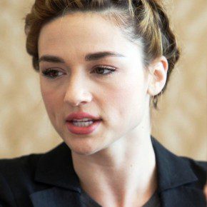 Crystal Reed French Braided Updo