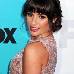 Lea Michele Long Braided Hairstyle