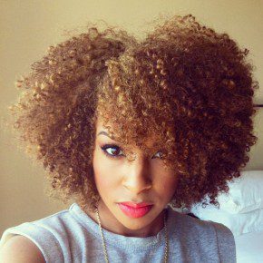 Natural Hair Styles 3b