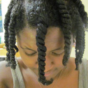 Natural Hair Styles Double Strand Twist