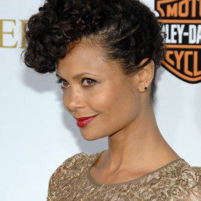 Natural Hairstyles Pics